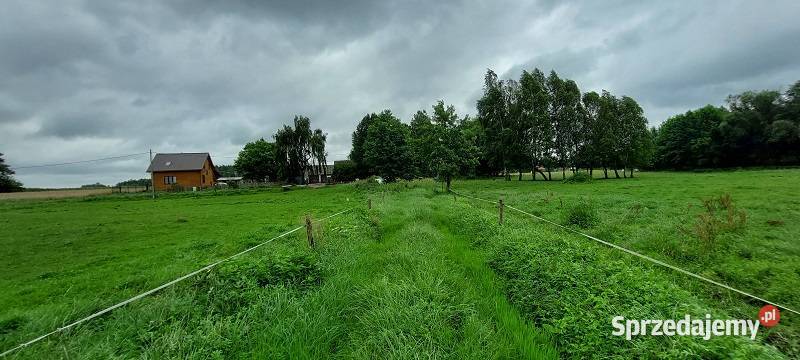 Syndyk sprzeda Ponikiew Duża 2zł/m2 sprzedam