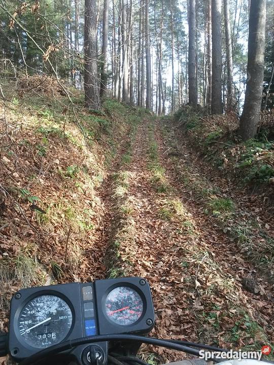 Honda XL 125 S Tarnawa Górna