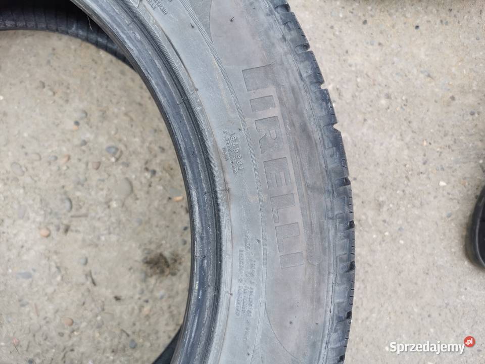 Opony zimowe pirelli 2355518 Dębica
