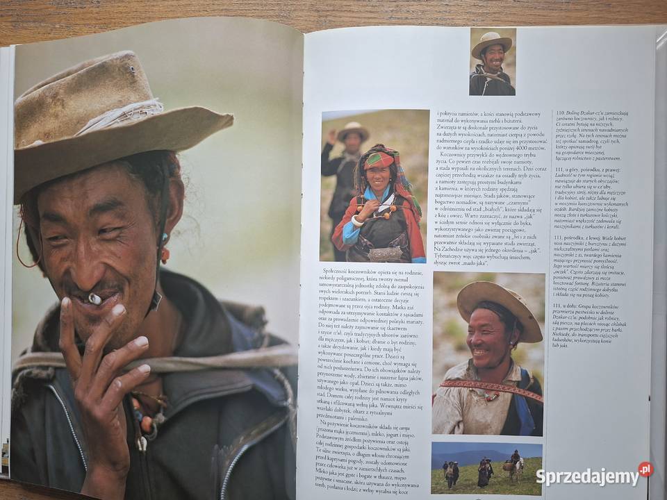 Tybet Dach Świata Przeszłość i Teraźniejszość ISBN 9788392286691 Mapy i przewodniki Kraków