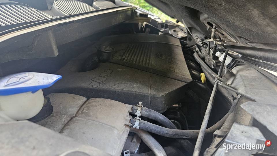 Uszkodzony Ford Focus C sprzedam