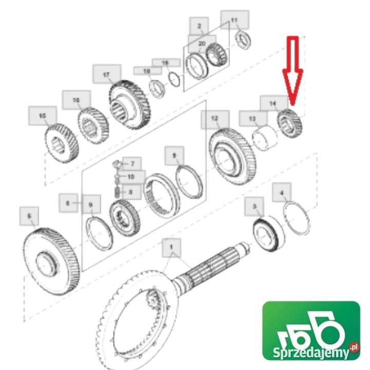 Koło zębate Skrzynia biegów PowrQuad R159386 wielkopolskie Wilkowo