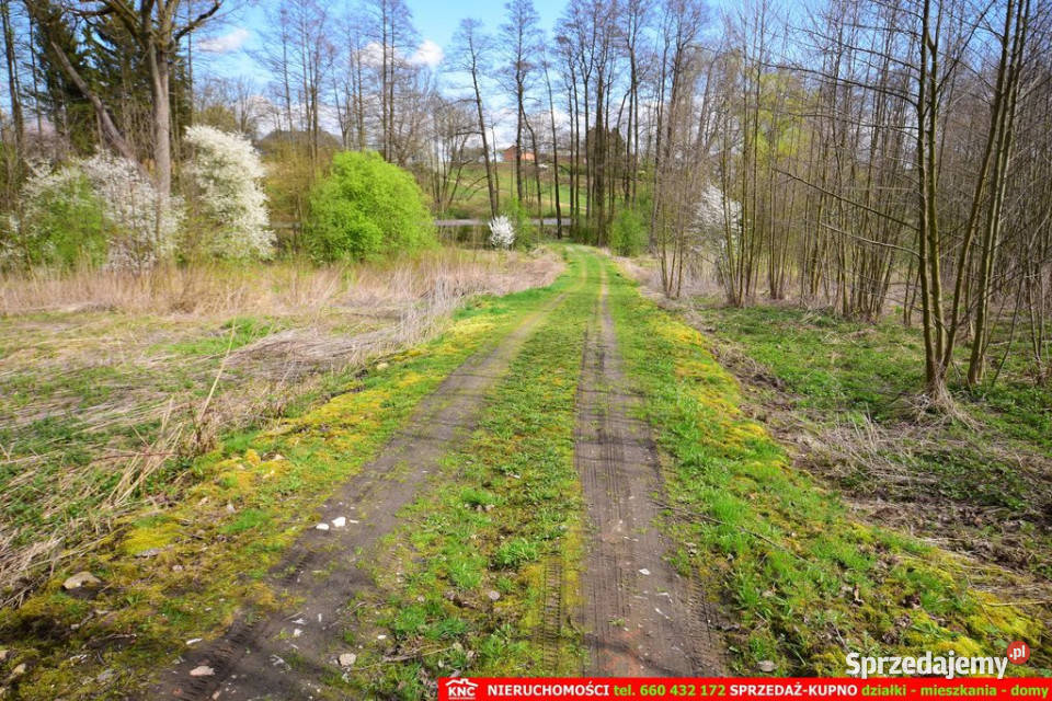 Działka o pow 3115 m szkoła MPK Sprzedaż Motycz sprzedam