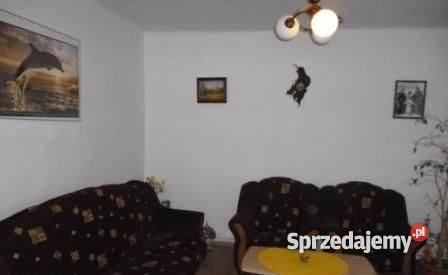 Do Siedlisko w Mostowie siatka Mława