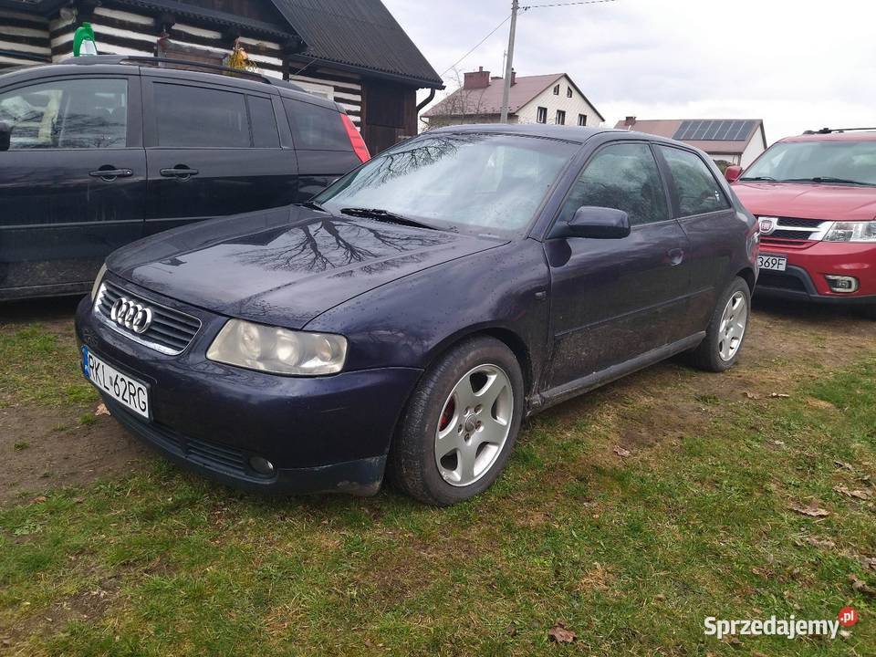 Audi a3 8l Łowisko