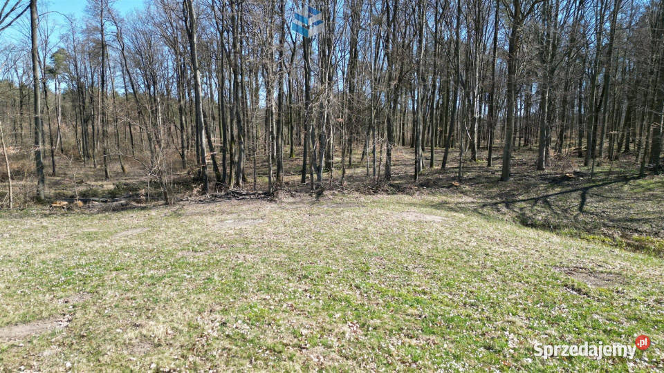 sprzedaży gruntu 3500m2 Jędrychówko 34zł/m2