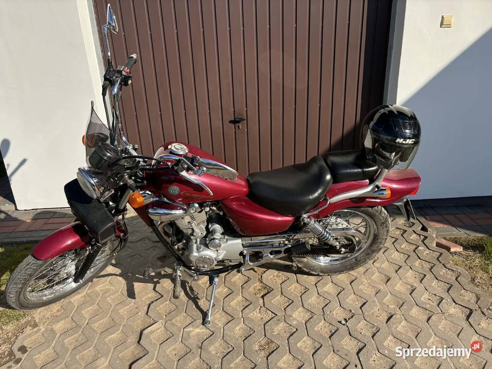Rex chopper chopper lubelskie Izbica