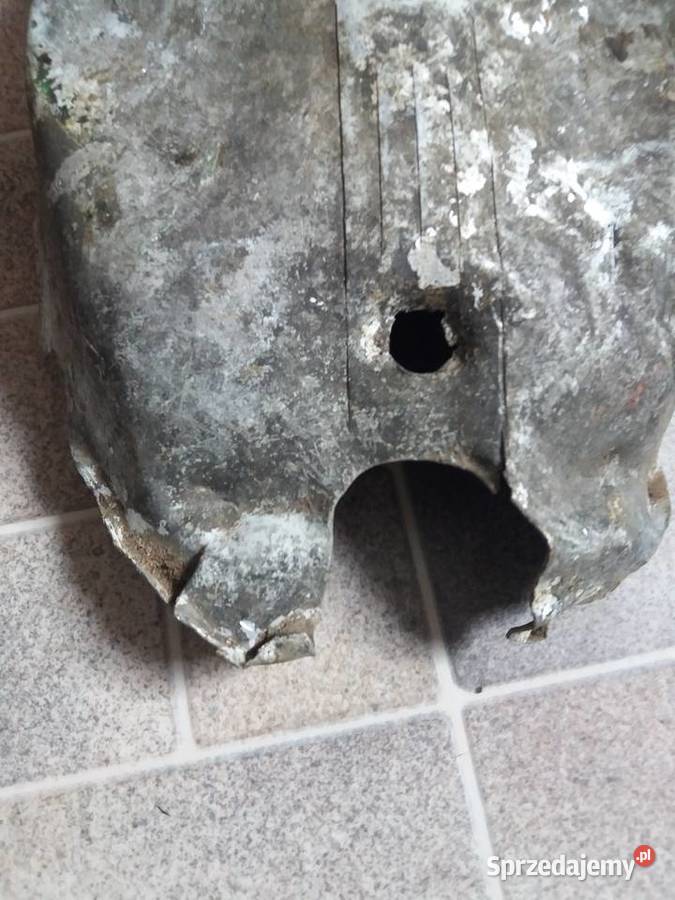 Pokrywa kapa magneta żak Ryś komar wielkopolskie Lisew