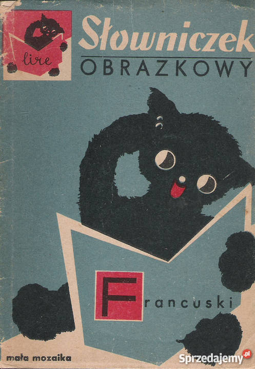 Słowniczek obrazkowy francuski francuski Puławy