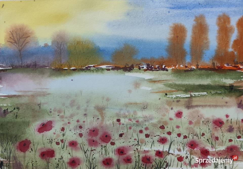 Oryginalna Akwarela Obraz pt Efemeryczność dolnośląskie Wrocław