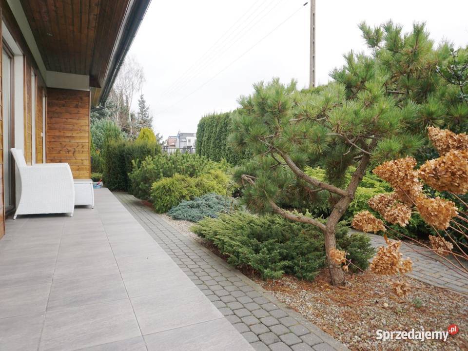 gotowy do wejścia I czeka na nowych najemców I asfalt Sztutowo sprzedam