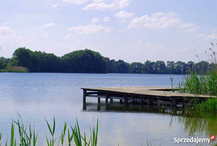 Dom Siedlisko Na Wsi piwnica Czarmuń