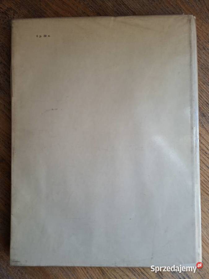 Michał Anioł Błonarroti E Rottenberg j rosyjski twarda z obwolutą Kraków sprzedam