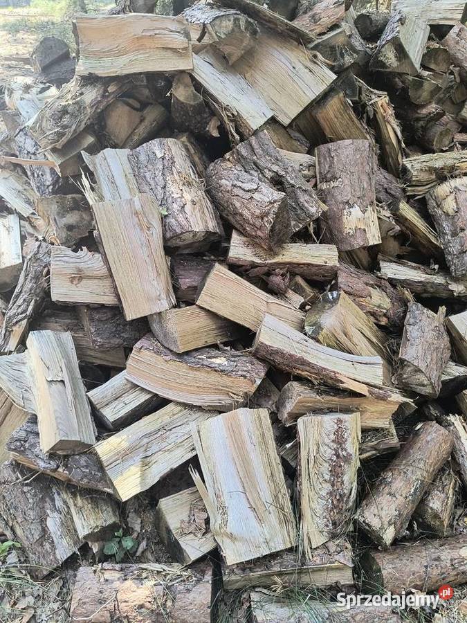 Drewno opałowe sosna pocięta i połupana wielkopolskie Białobłoty sprzedam