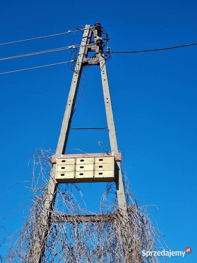 Budka jerzyków 9 gniazd