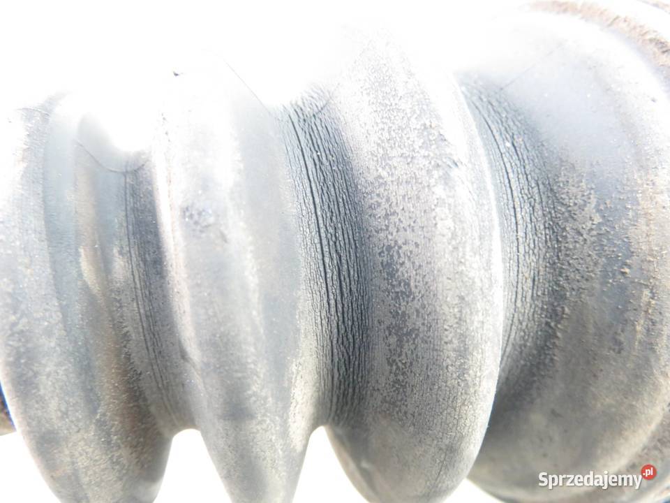 PÓŁOŚ LEWA TYLNA RENAULT KANGOO I 19 dCi