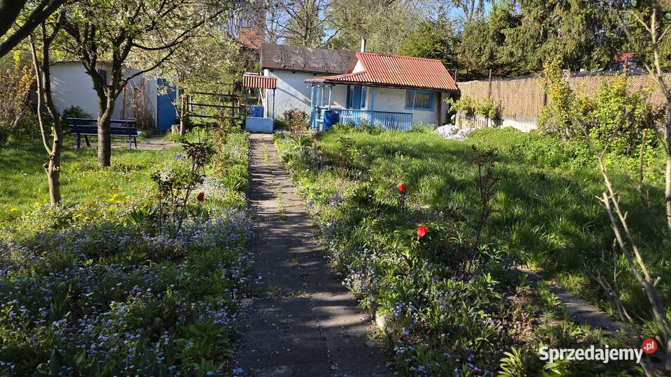 Katowice działka rod rodzinne ogródki działkowe rekreacyjna sprzedam