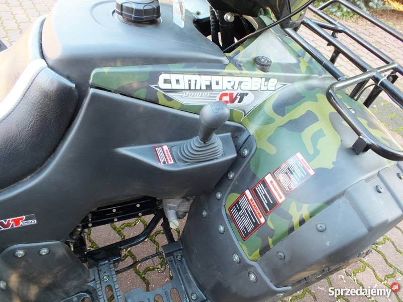 Quad ATV Bashan BS250s24