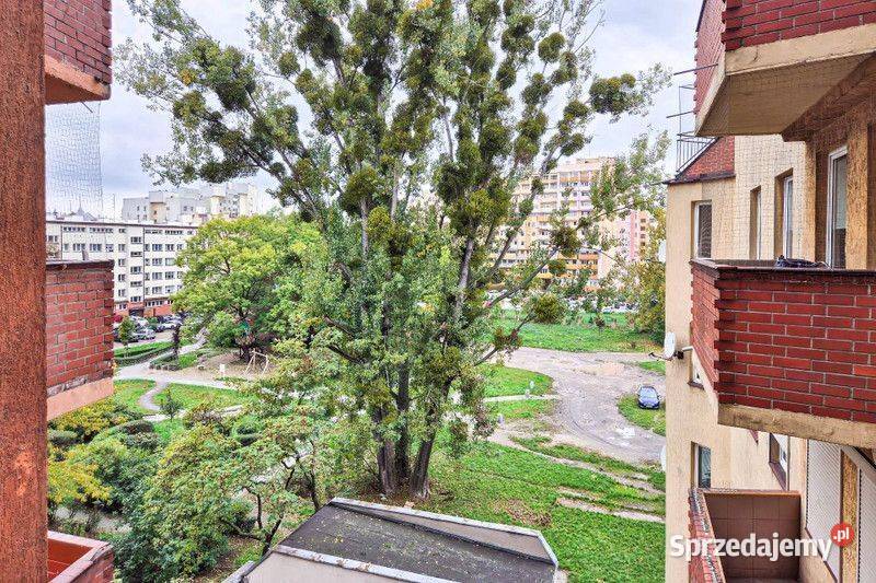 1pok 35met Nowowiejskiej BALKONKOMÓRKAWINDA Wrocław