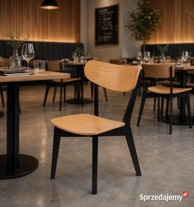 Krzesło 850 do domu jadalni restauracji lokalu Bytom