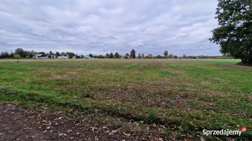 Okazja Działka 1500 m I 43 m I 15 min Łukowa budowlana Sprzedaż Sarnów