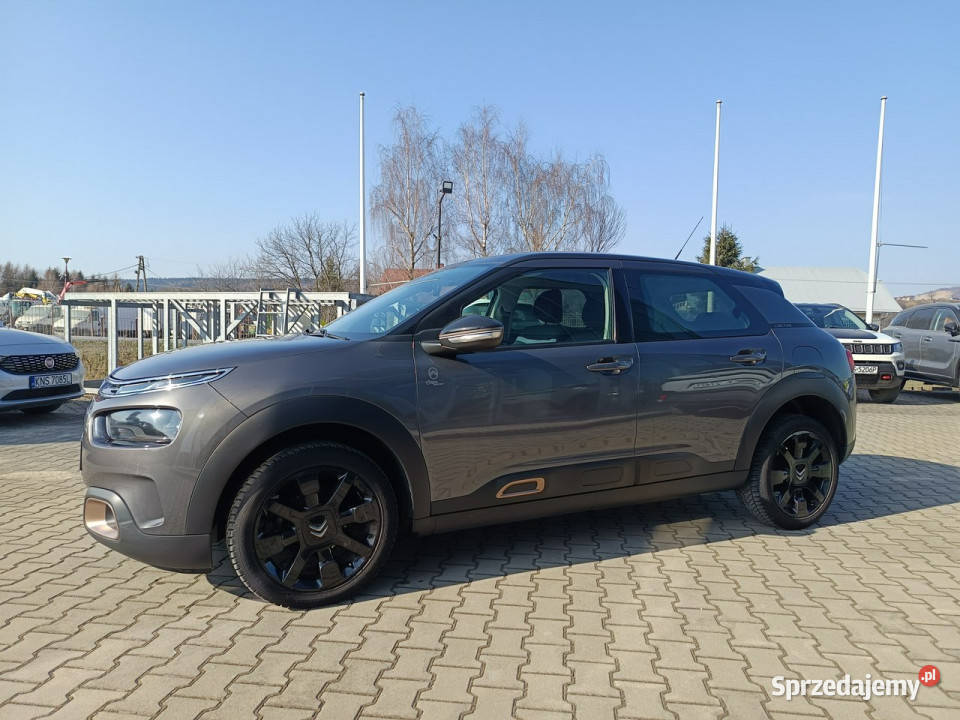 Citroen C4 Cactus Orgins 12 110 Salon 1