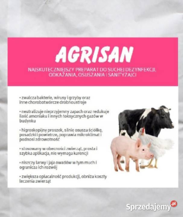 Sucha dezynfekcyja wszystkich gatunków zwierząt Działdowo