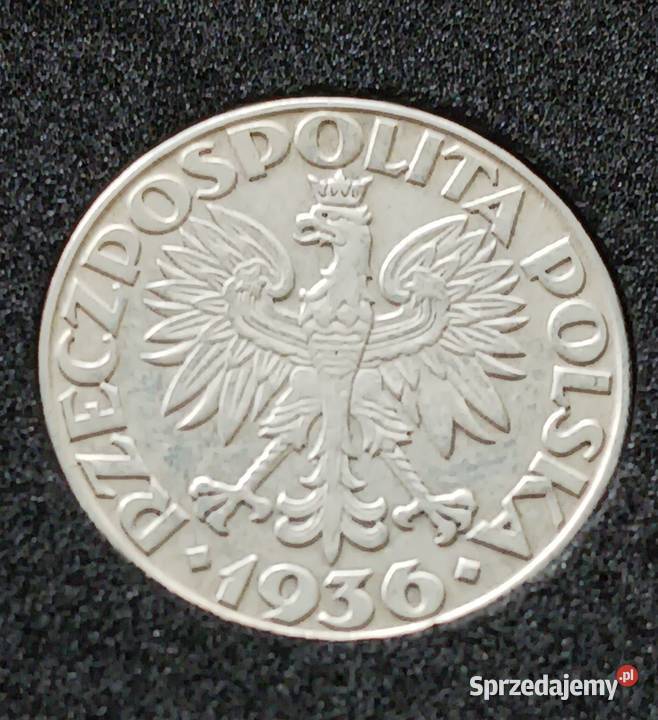 2 Żaglowiec 1936 r Quadrum Śliczne wielkopolskie Konin