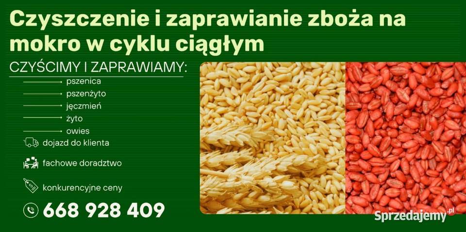 Czyszczenie i zaprawianie zboża mobilnie z lubelskie Kraśnik