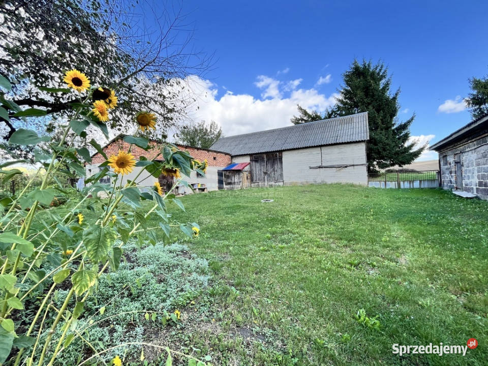 Zadbane siedlisko gotowe do zamieszkania wolnostojący Nieruchomości Mołodiatycze