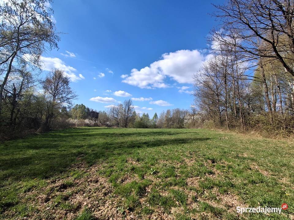 Lipnica dolna Działka rolnoleśna 9000m2 małopolskie