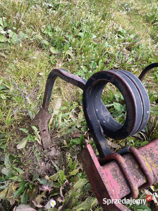 Ząb agregatu Kongskilde Vaderstad vamo Lilla Czernice Borowe sprzedam