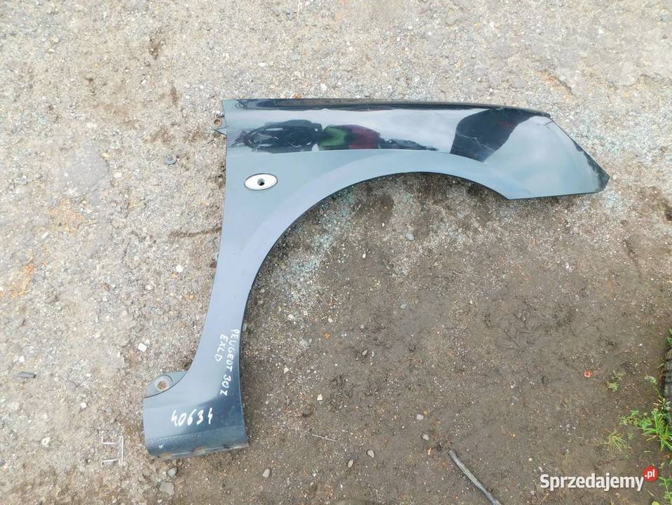 peugeot 307 błotnik kolor EXLD 40634 WYSYŁKA osobowe Żory