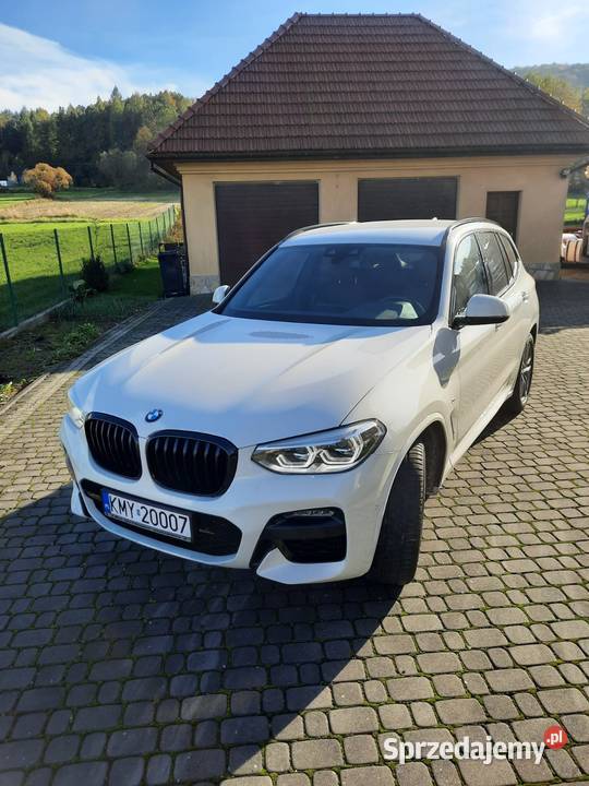 BMW X3 Mpakiet Salon Polska Stadniki