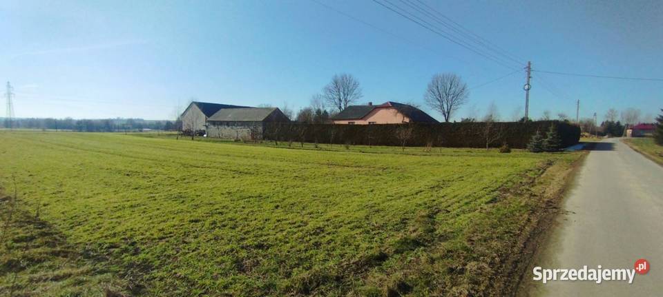 Siedlisko Czernięcin 225 ha dom 148 m 600 000 Czernięcin Poduchowny sprzedam