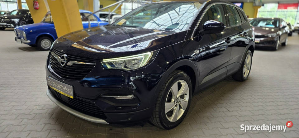 Opel Grandland X 20182019 OPIS W podanej roczna światła LED śląskie Mysłowice