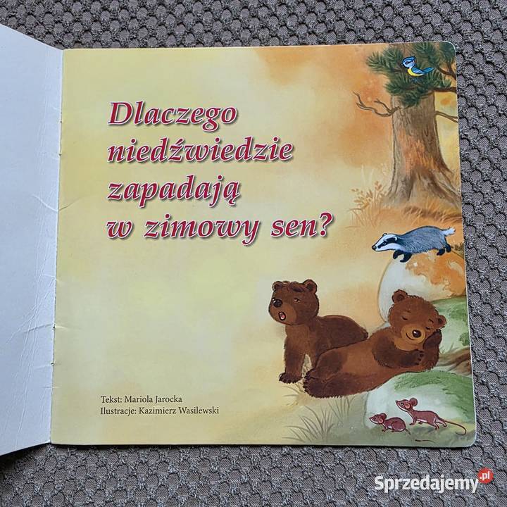 Dlaczego niedźwiedzie zapadają w zimowy sen Kraków