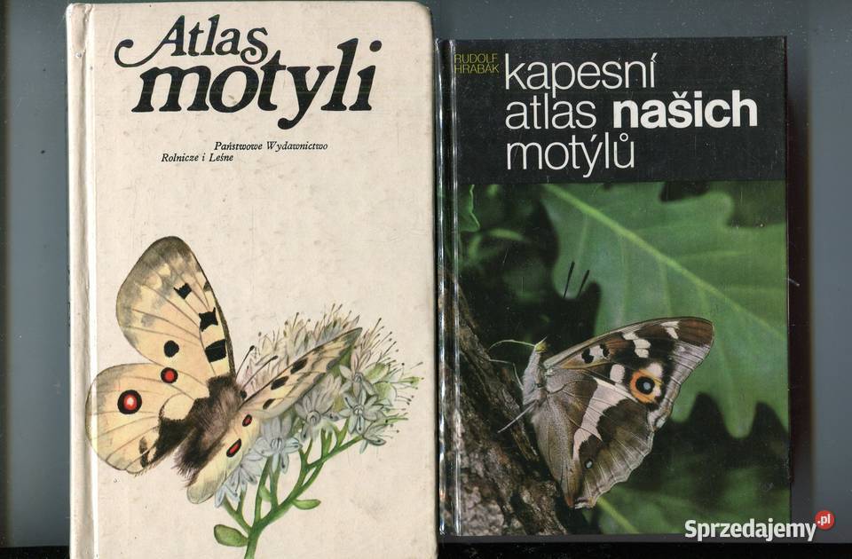 Kapesni atlas nasich motylu Atlas motyli Szczecin