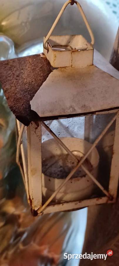 ANIELICA DO OGRODU W POZNANIU KUP JA 60 WYS GIPS Środa Wielkopolska