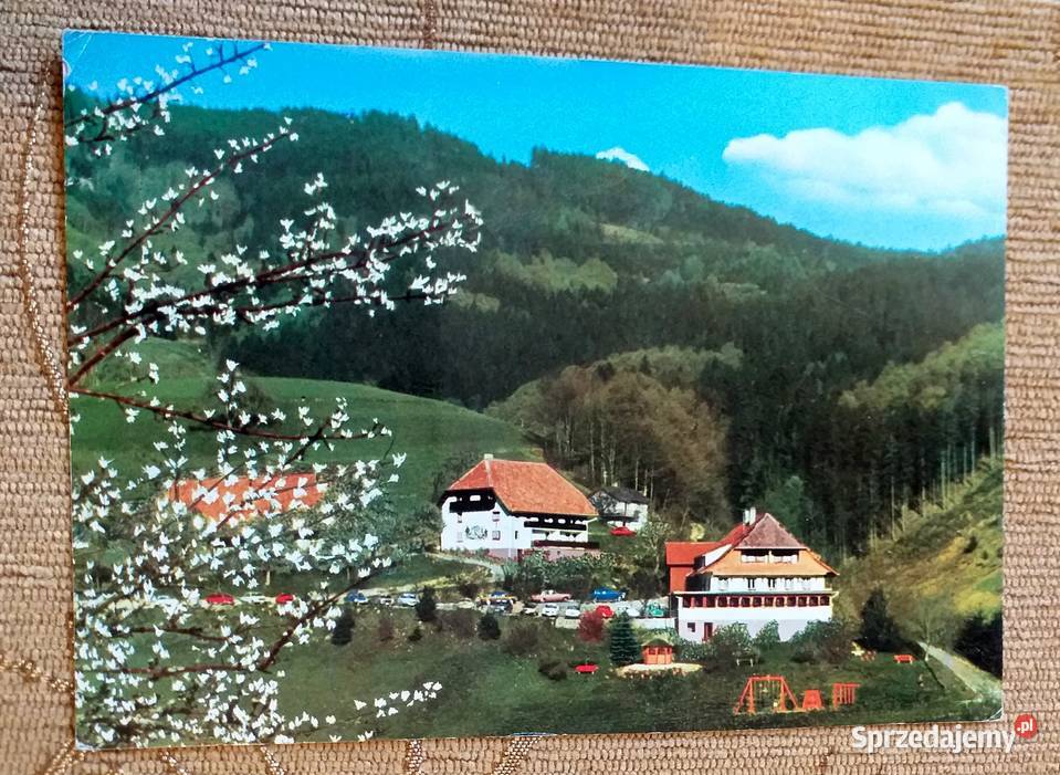 WIDOK NA TERENY PARKU NARODOWEGO W BAD BUCHAU Piszczac