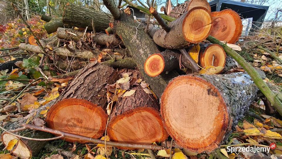 Drewno owocowe gałęzie świerkowe oddam śląskie sprzedam