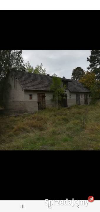 Sprzedam siedlisko 40a Dąbrowy gm Rozogi woda Szczytno