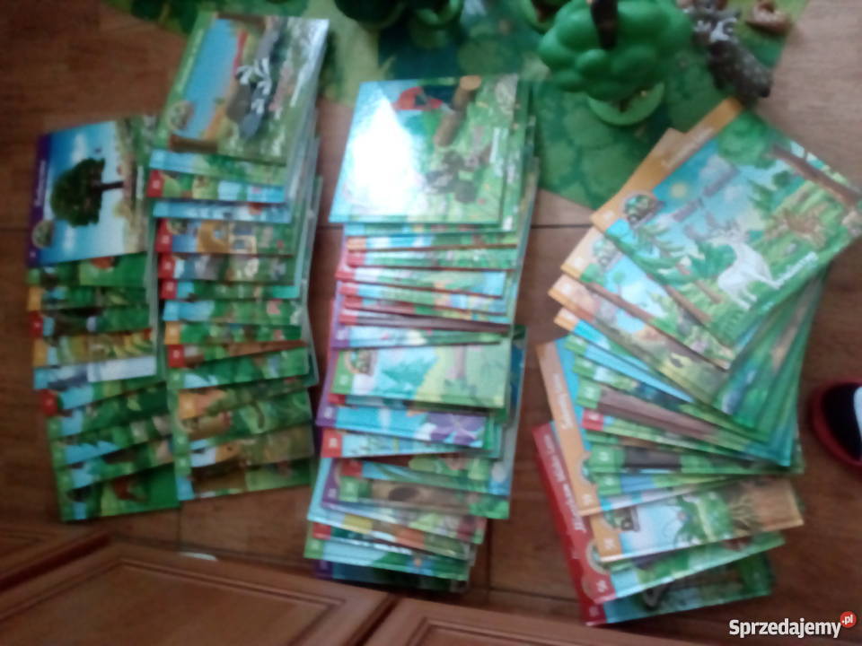 Przyjaciele z lasu Deagostini 70 książek figurki Plastik  Skołoszów