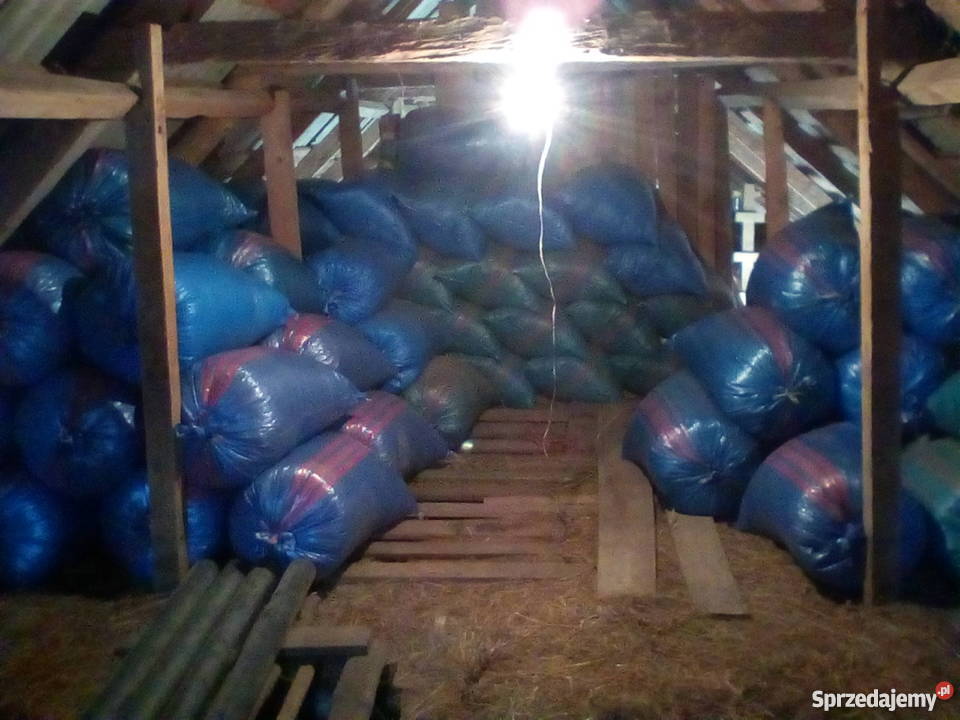 Trociny olchowe suche zworkowane lubelskie sprzedam