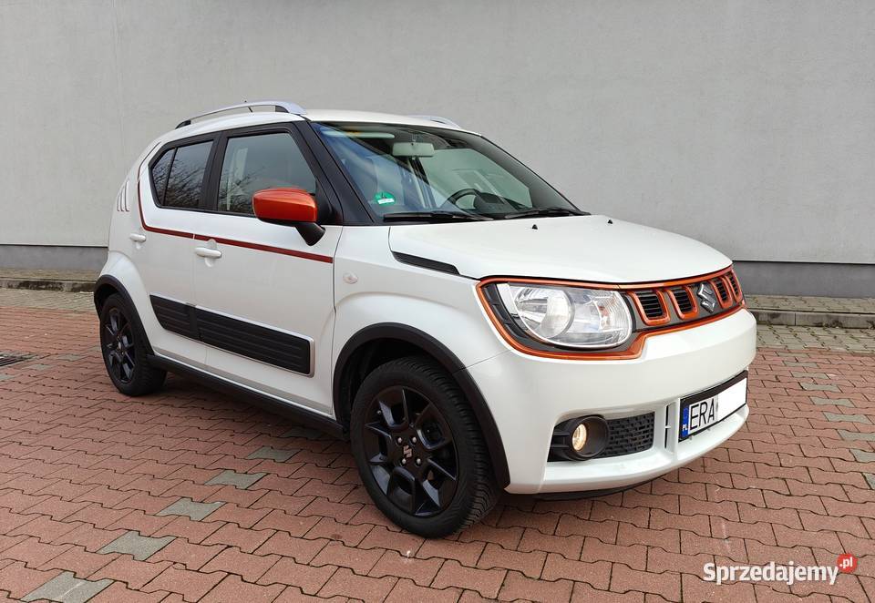 1290PEŁEN SERWIS DO KOŃCACZUJNIK Ignis Radomsko