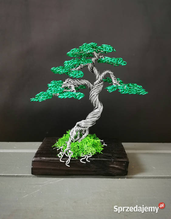 Zielone drzewko z chrobotkiem 13 Bolesławiec sprzedam