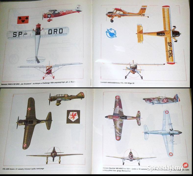 Polskie skrzydła Andrzej Glass