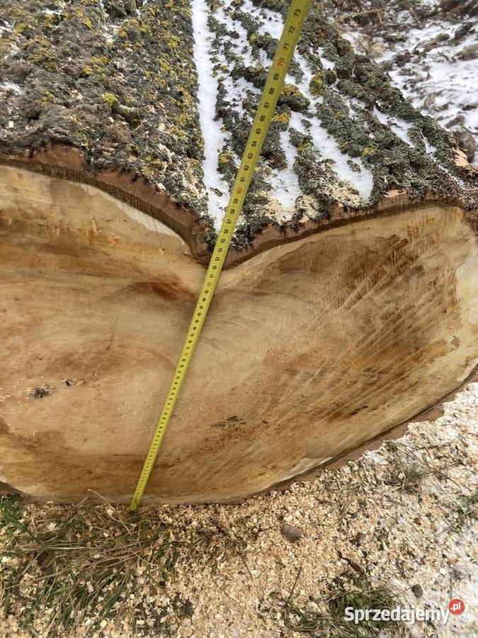 Pień w kształcie serca 75 x 55 x 140 Telatyn