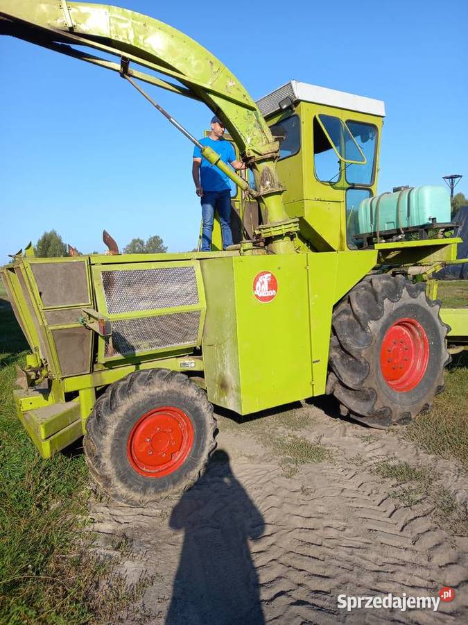 Claas Jaguar SF80 Claas kujawsko-pomorskie Polskie Łąki