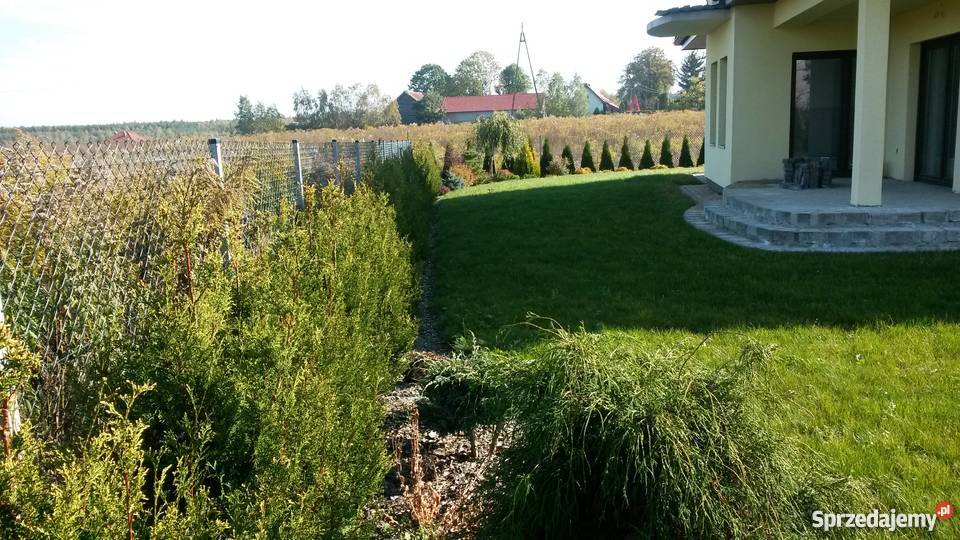 Piękny dom całoroczny Nowa Wieś Ostródzka drewniane Nowa Wieś Ostródzka